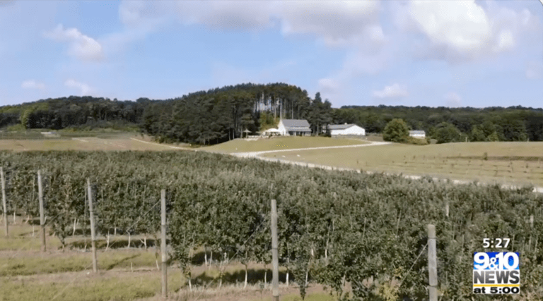 Read more about the article Two K Farms Featured on Local 9&10 News