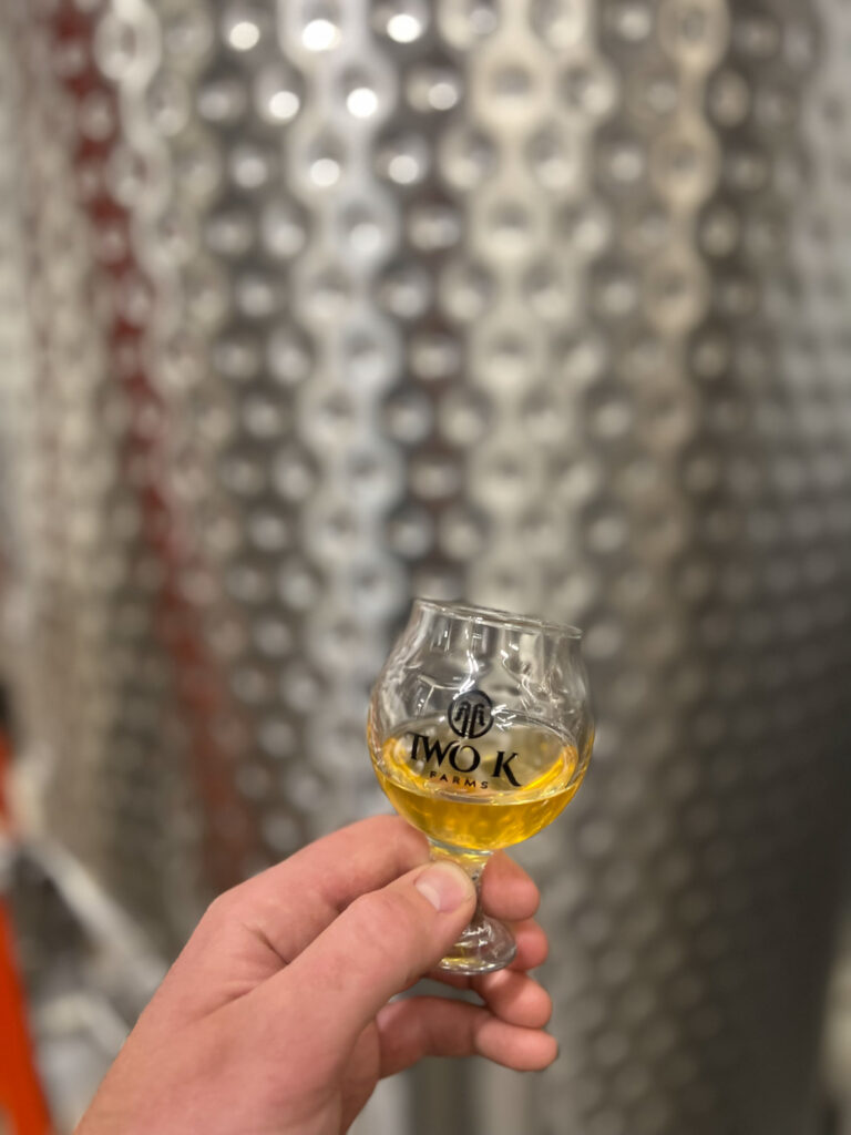 Photo of a hand holding a sample glass of Two K cider in front of a stainless steel fermentation tank.