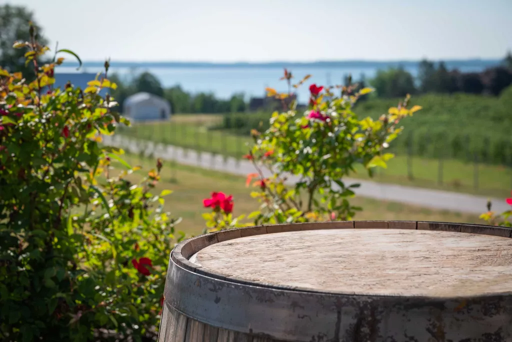 Photo of the top of the Two K Farms wine barrel set in front of rose bushes. There is green orchard and blue water of Grand Traverse Bay in the background.
